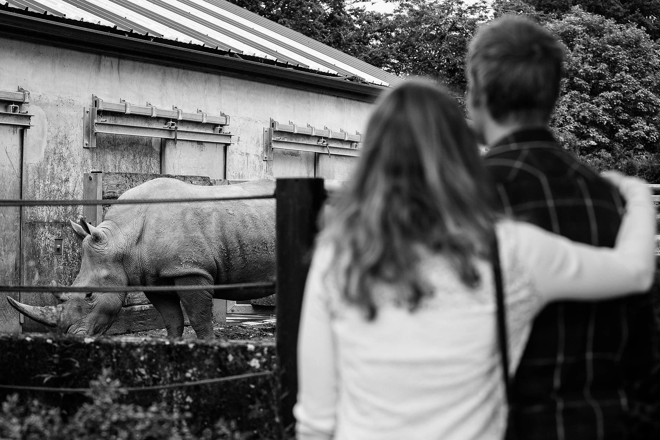 2014 Cotswold Animal Park Shoot_HRF-34.jpg