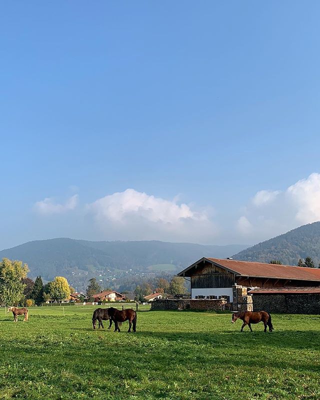 Scenes of Bavaria #vonwangs #tegernsee #germany #travels