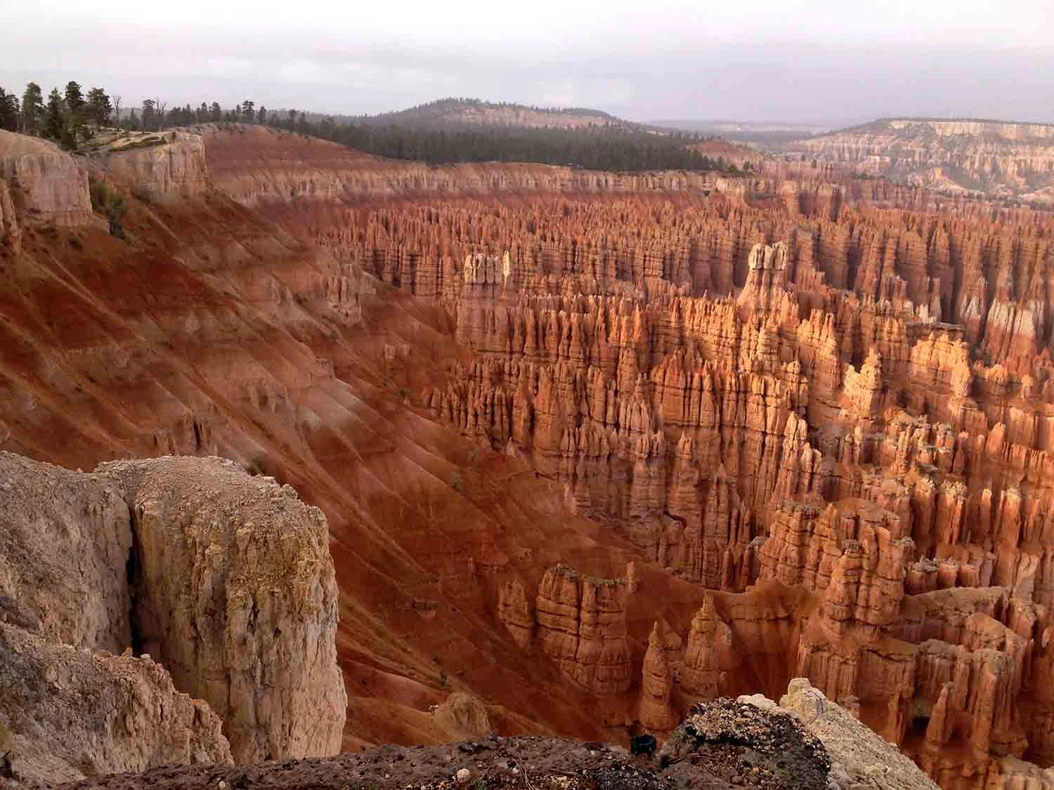 canyon-1.jpg