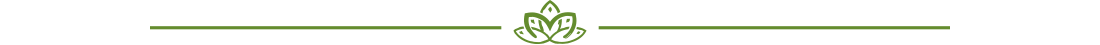 divider.png