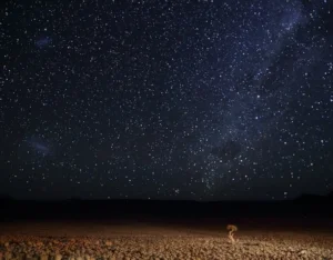 Namibian Sky (Pat Hanrahan)