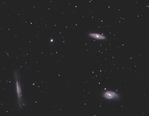 Leo Trio (Tom Logan)