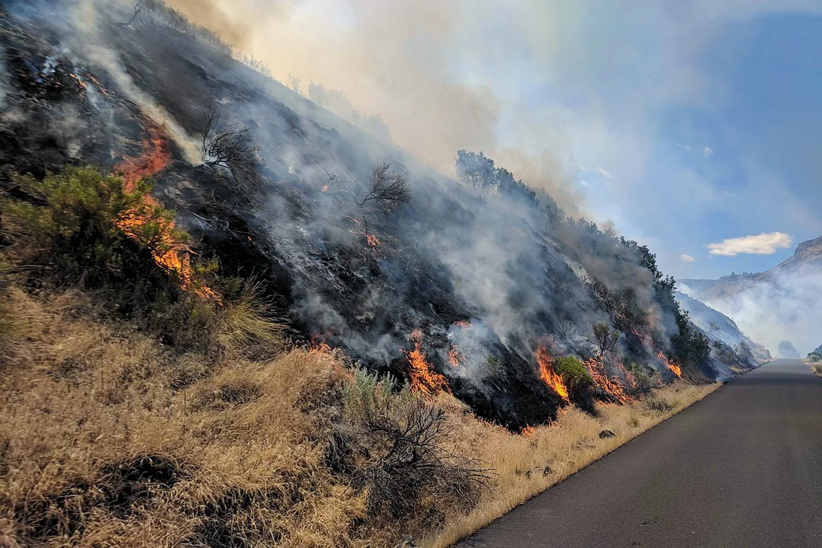 2018 Boxcar Fire one mile southeast of Maupin, Oregon. BLM photo.