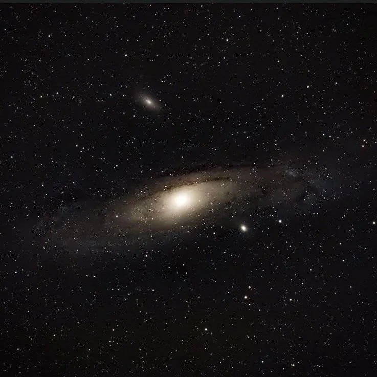 RCA General Meeting: Meeting Our Cosmic Neighbor : From Formation to Fate, the Cosmological History of  Andromeda