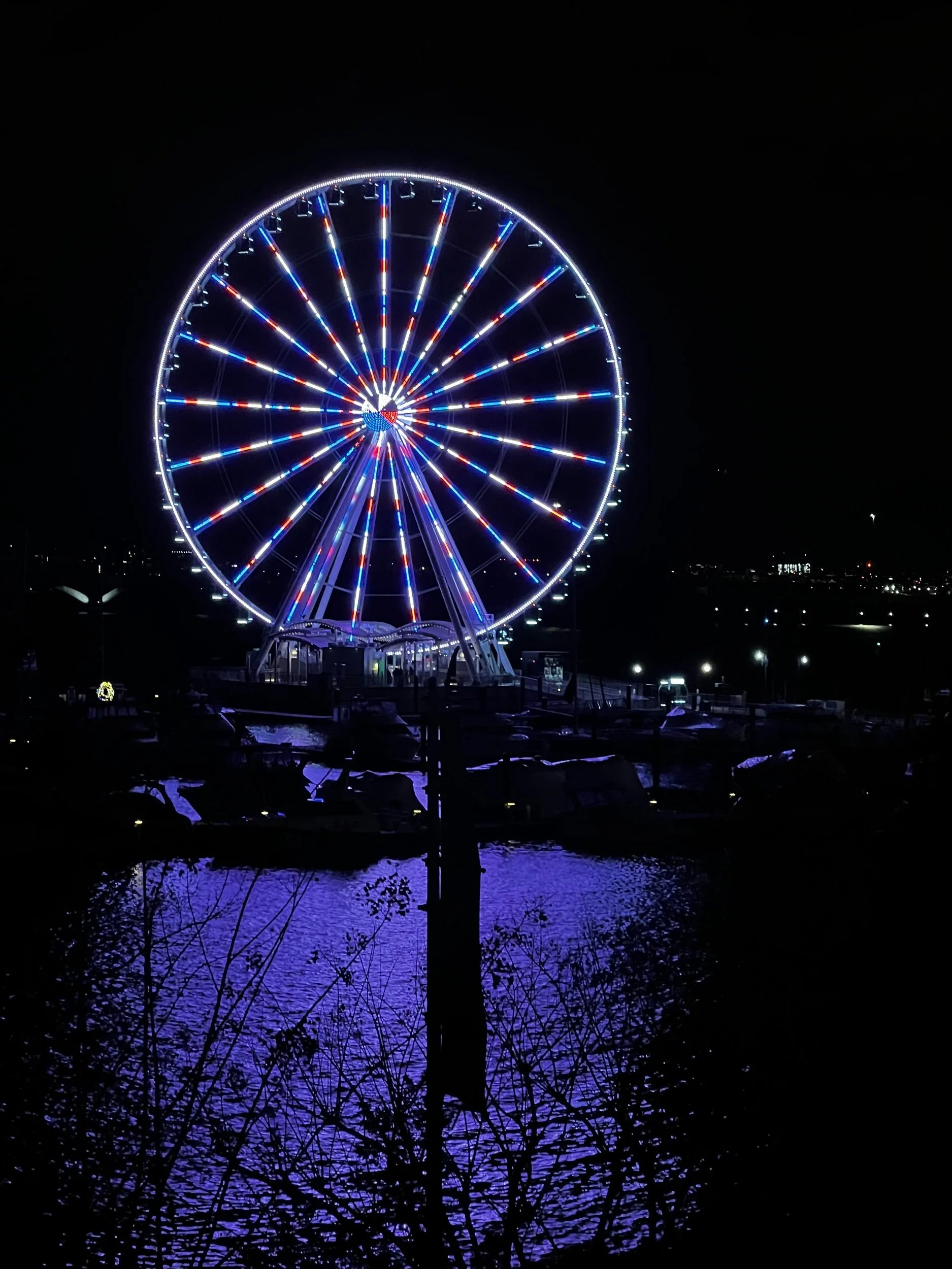 National Harbor Ferris Wheel