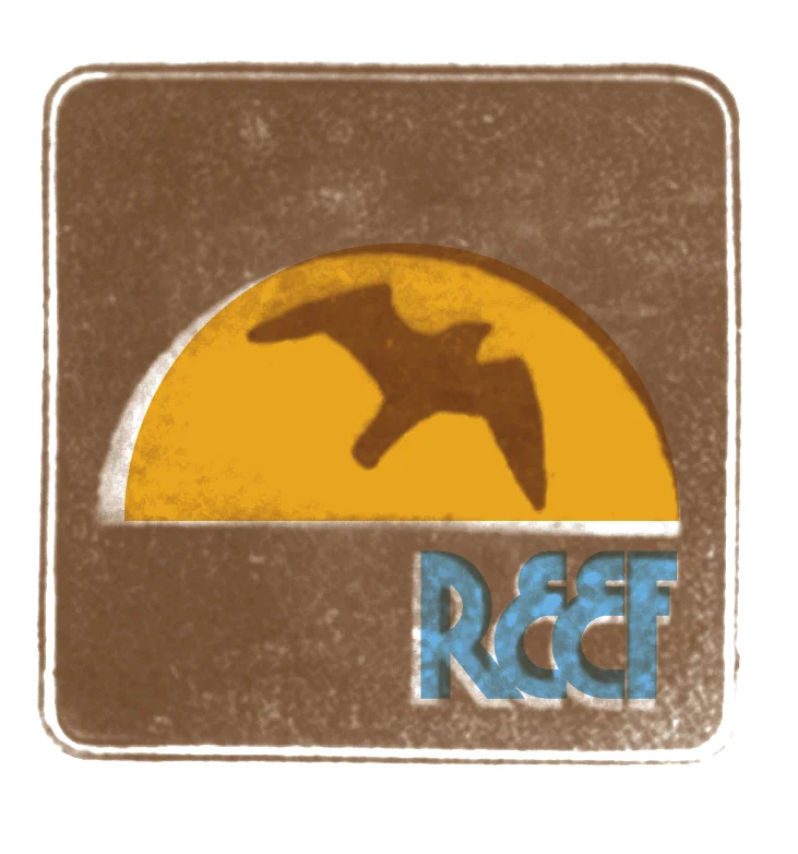 reef bird.jpg