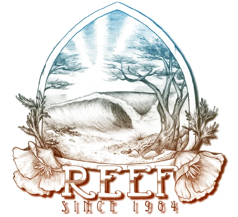 reef ca1.jpg
