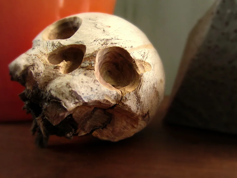 gall skull.jpg