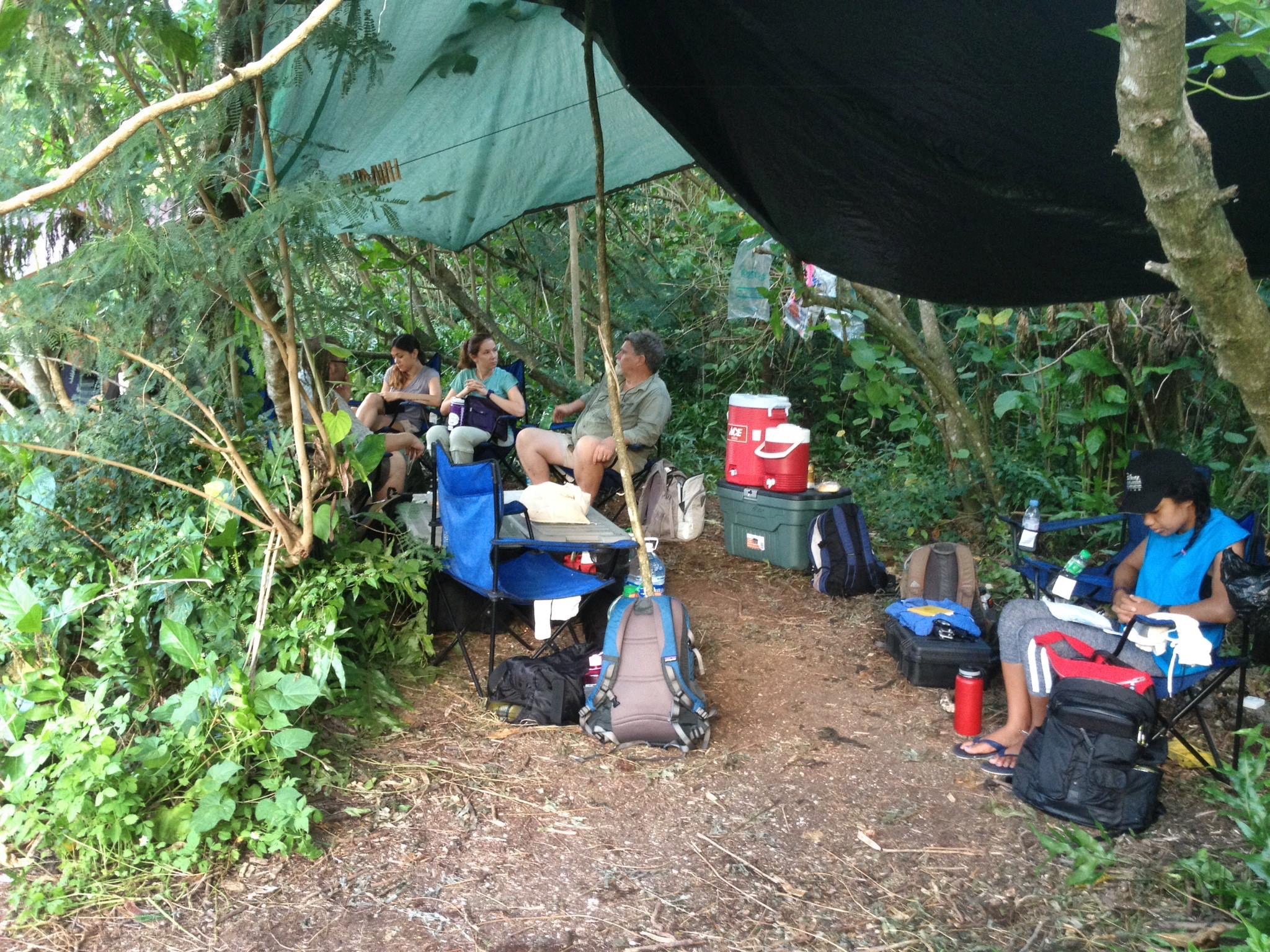  field base camp (photo by Fields of the Memphis Zoo) 