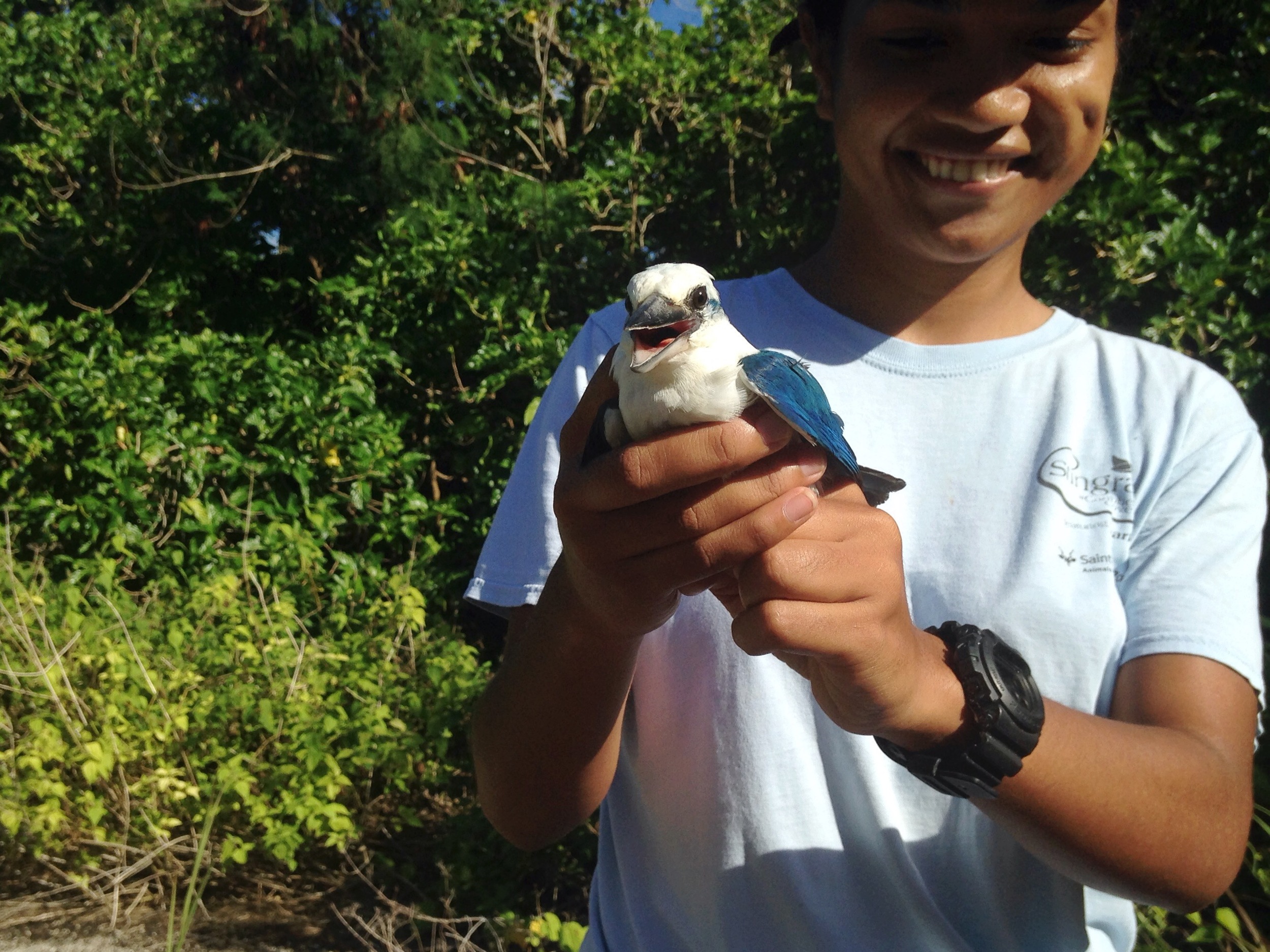 Reba and a collared kingfisher 