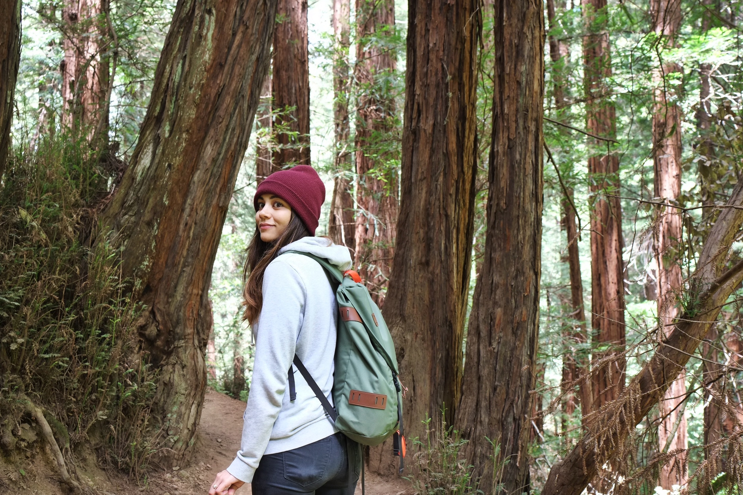  Muir Woods National Monument - coastal redwoods 