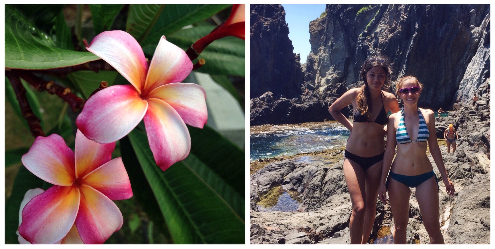 plumeria | Kelly and I at a cove on the north side of Moku Nui - this area is also a popular hangout for tiger sharks and a slew of bird species
