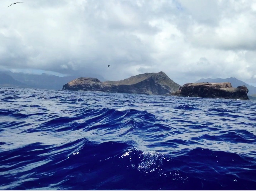  Approaching Bird Island 