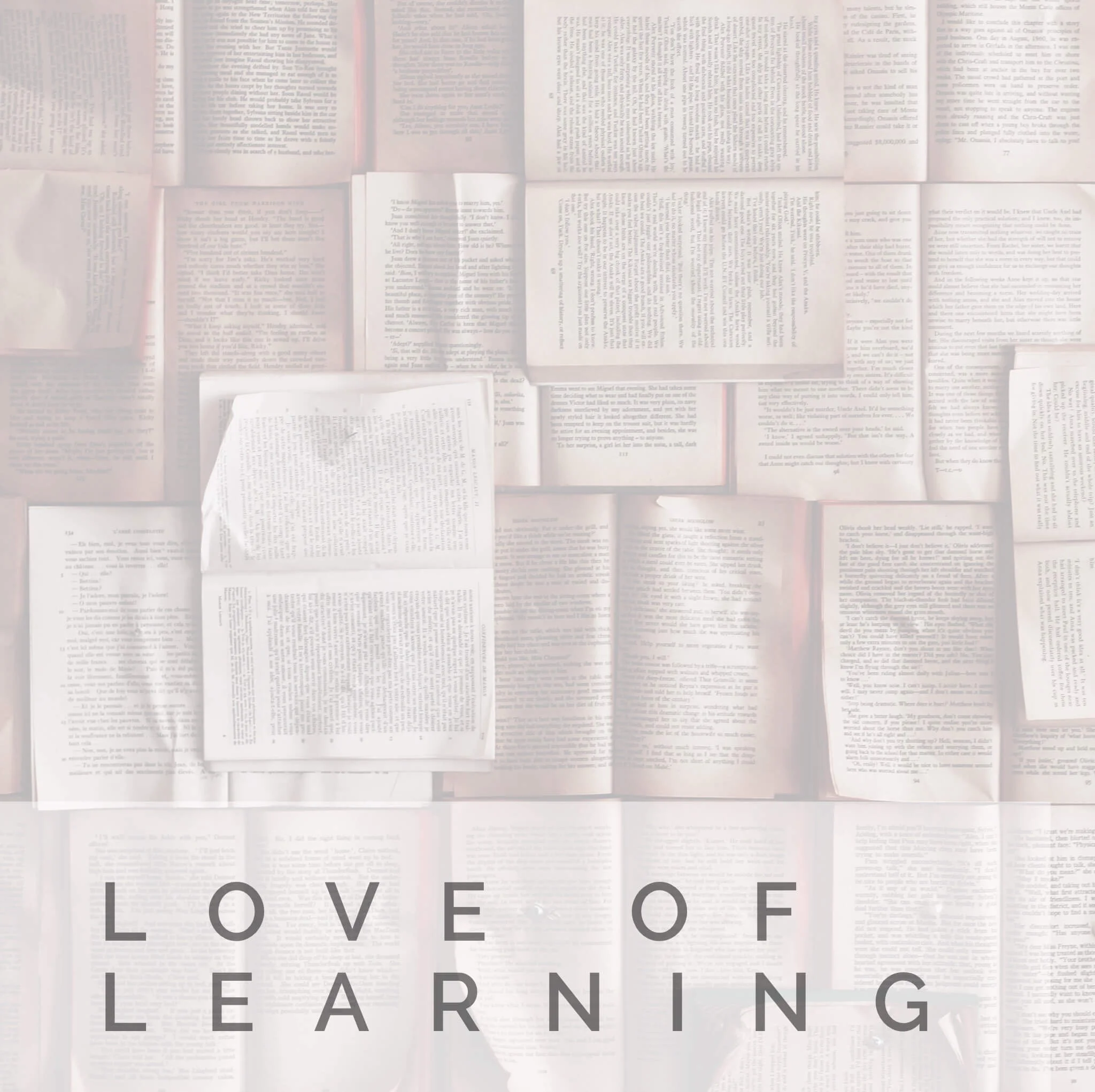 Love of Learning | Strength | Signature Wisdom 