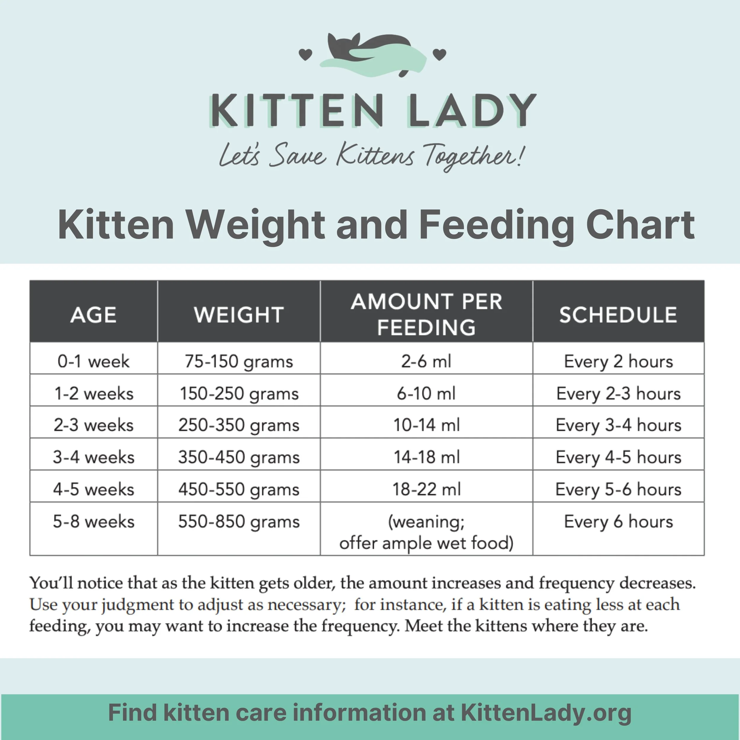 Charts Kitten Lady