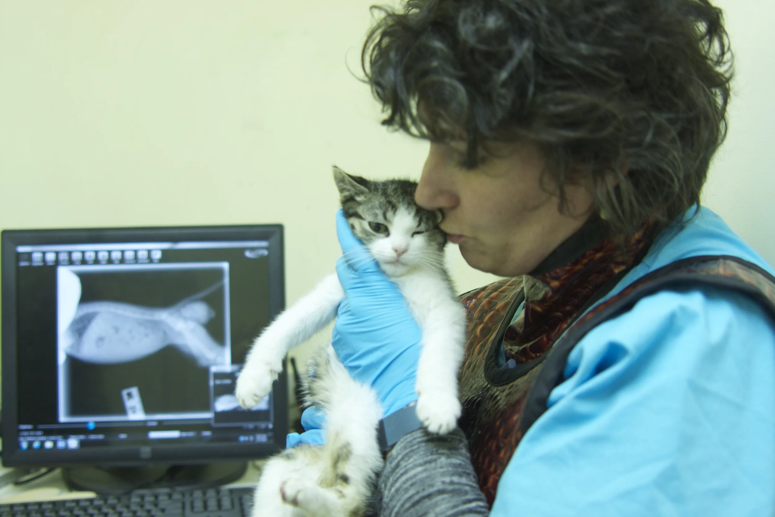 Marlin's LVT, Ellen Carozza, gives a kiss of encouragement after an x-ray showing promising progress.