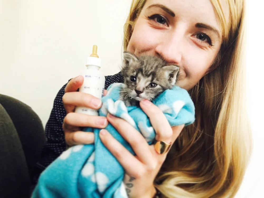 Planning Kitten Lady Planning Kitten Lady