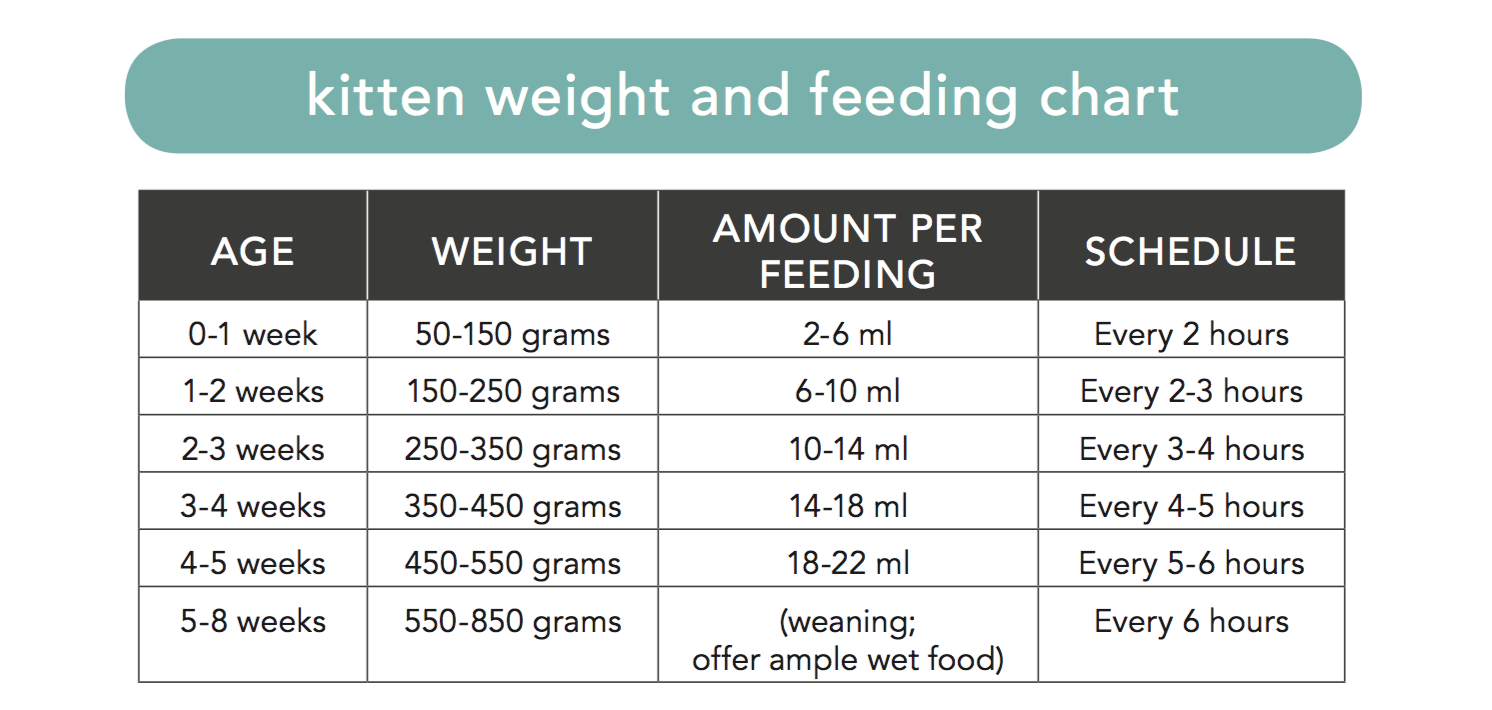 Cat Food Chart By Weight