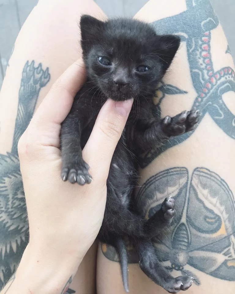 I may look like a baby bear, but I'm the sweetest tea in all the land!