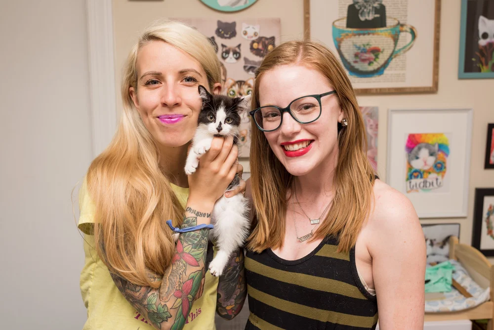 Picking The Right Home Kitten Lady Picking The Right Home Kitten Lady