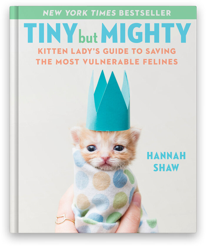 Tiny But Mighty — Kitten Lady