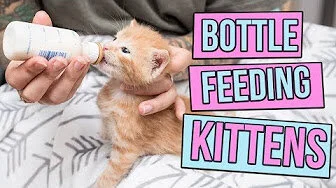 Bottle Feeding 