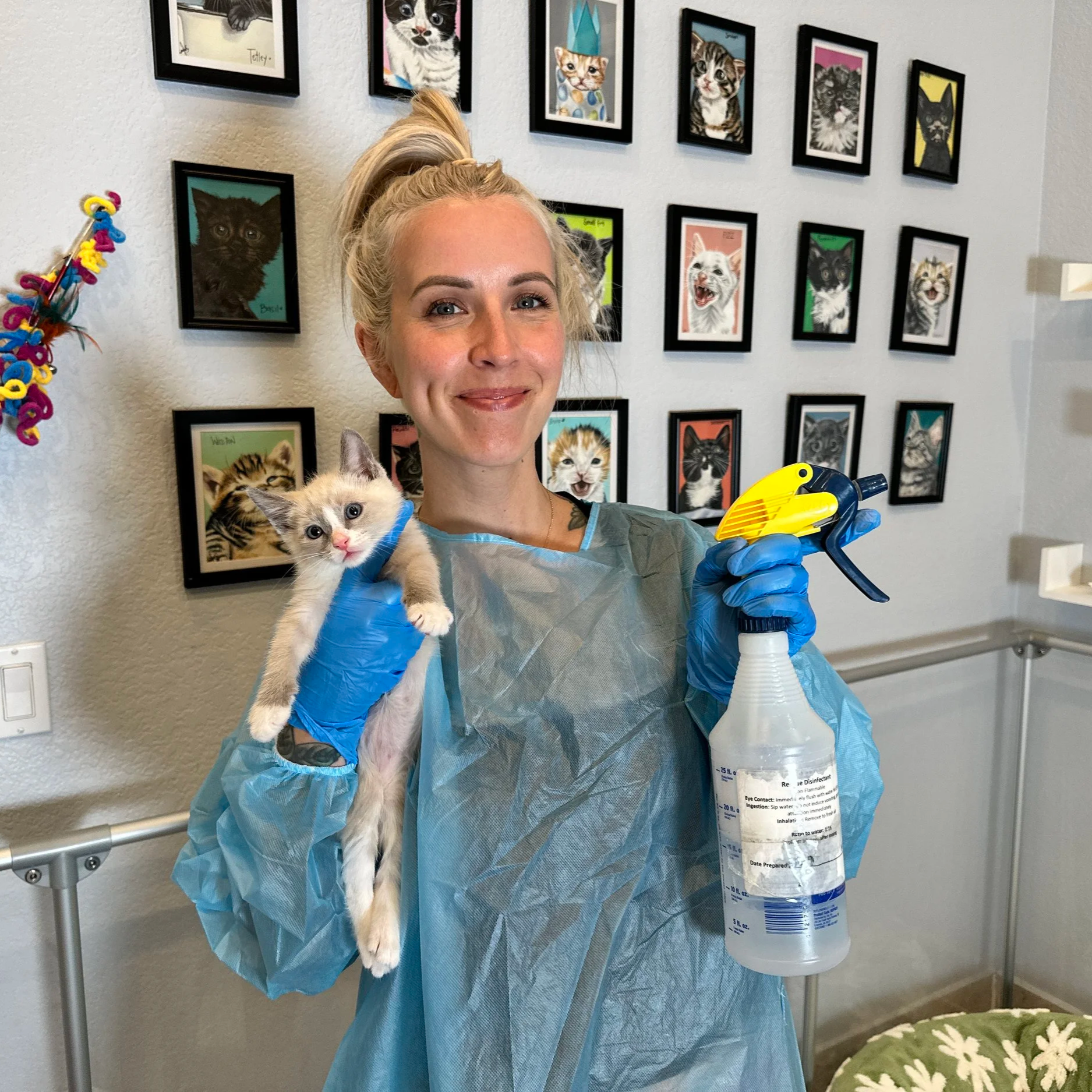 Helping Kittens with Panleukopenia