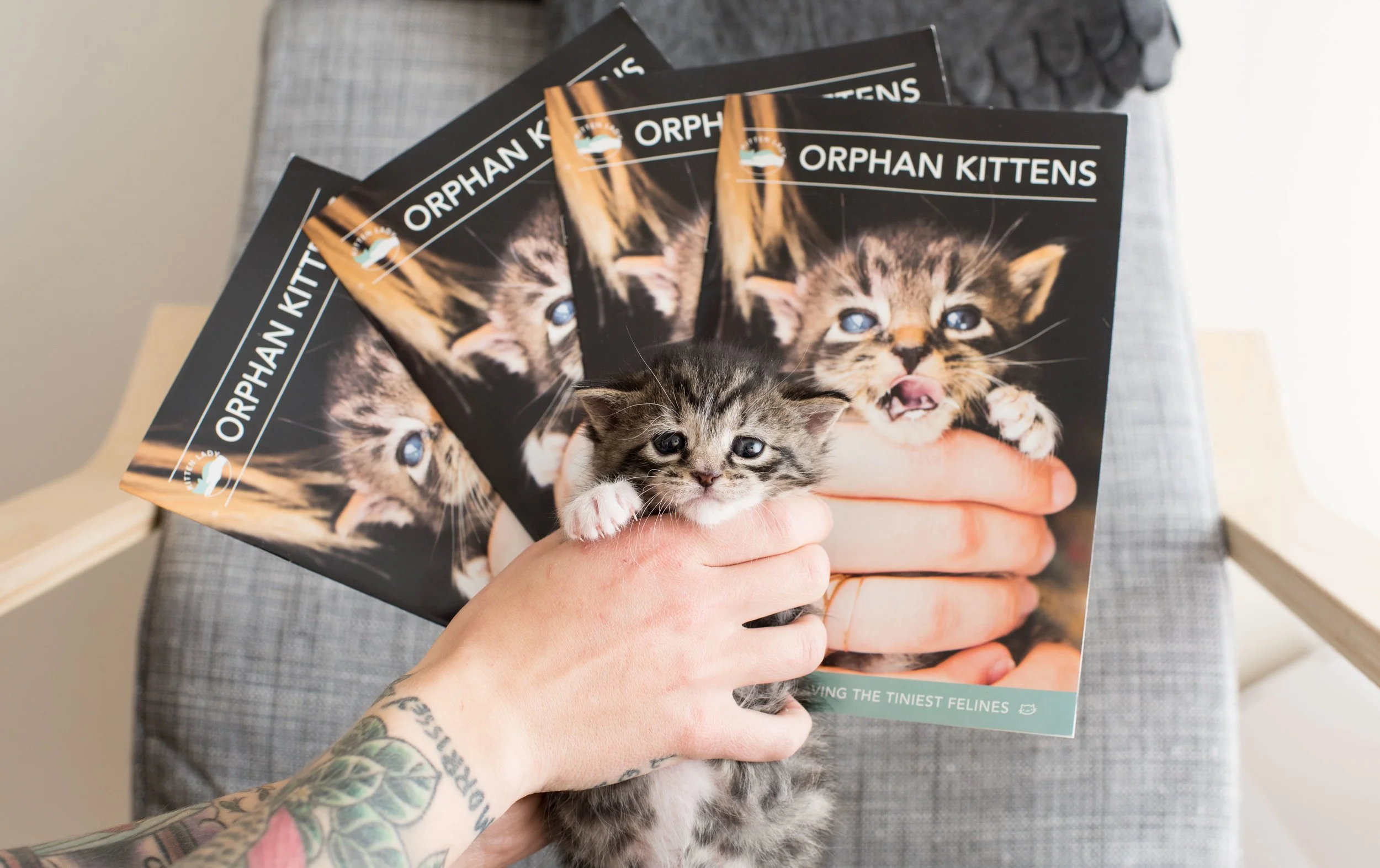 Kitten Care Training Booklet