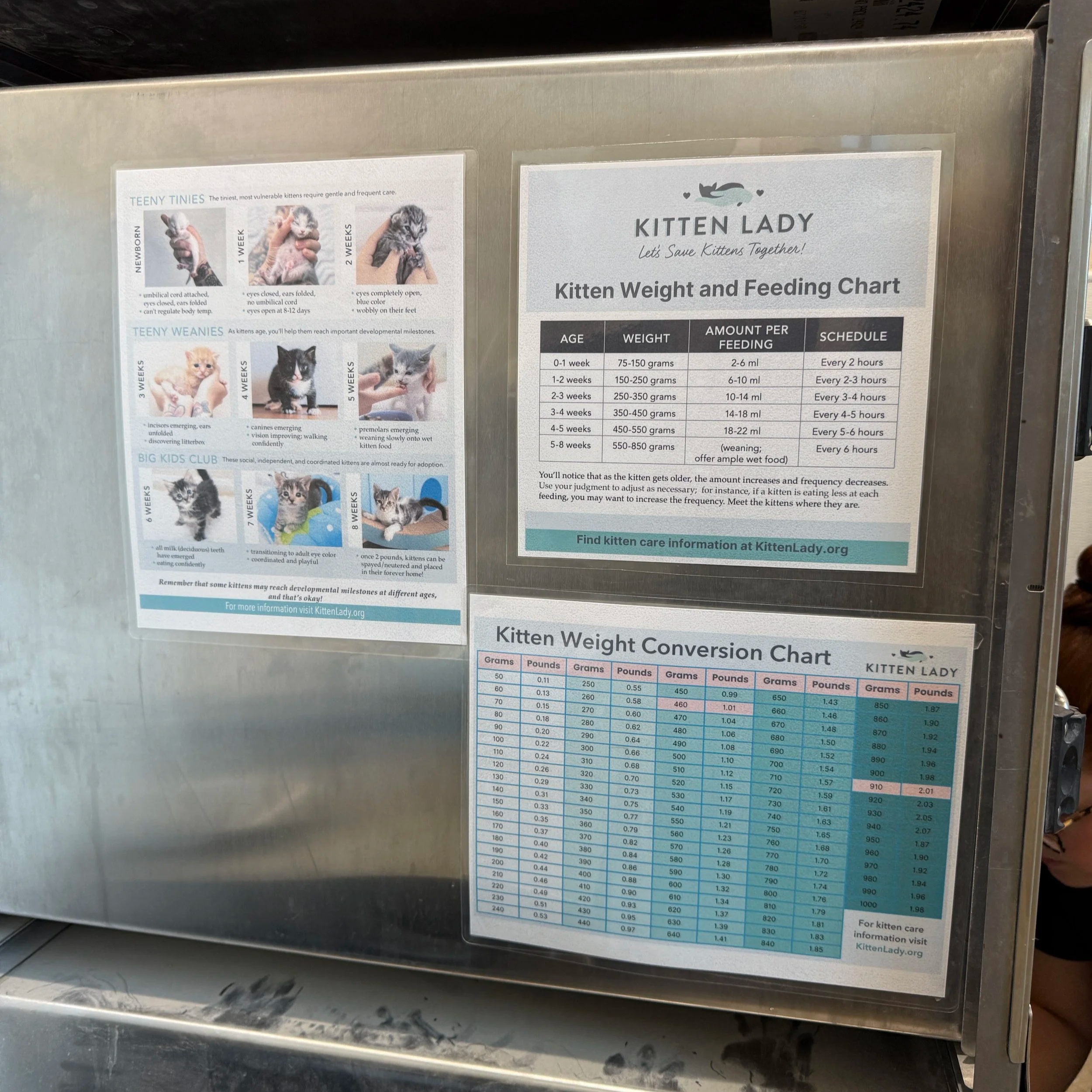 Printable Charts and Guides