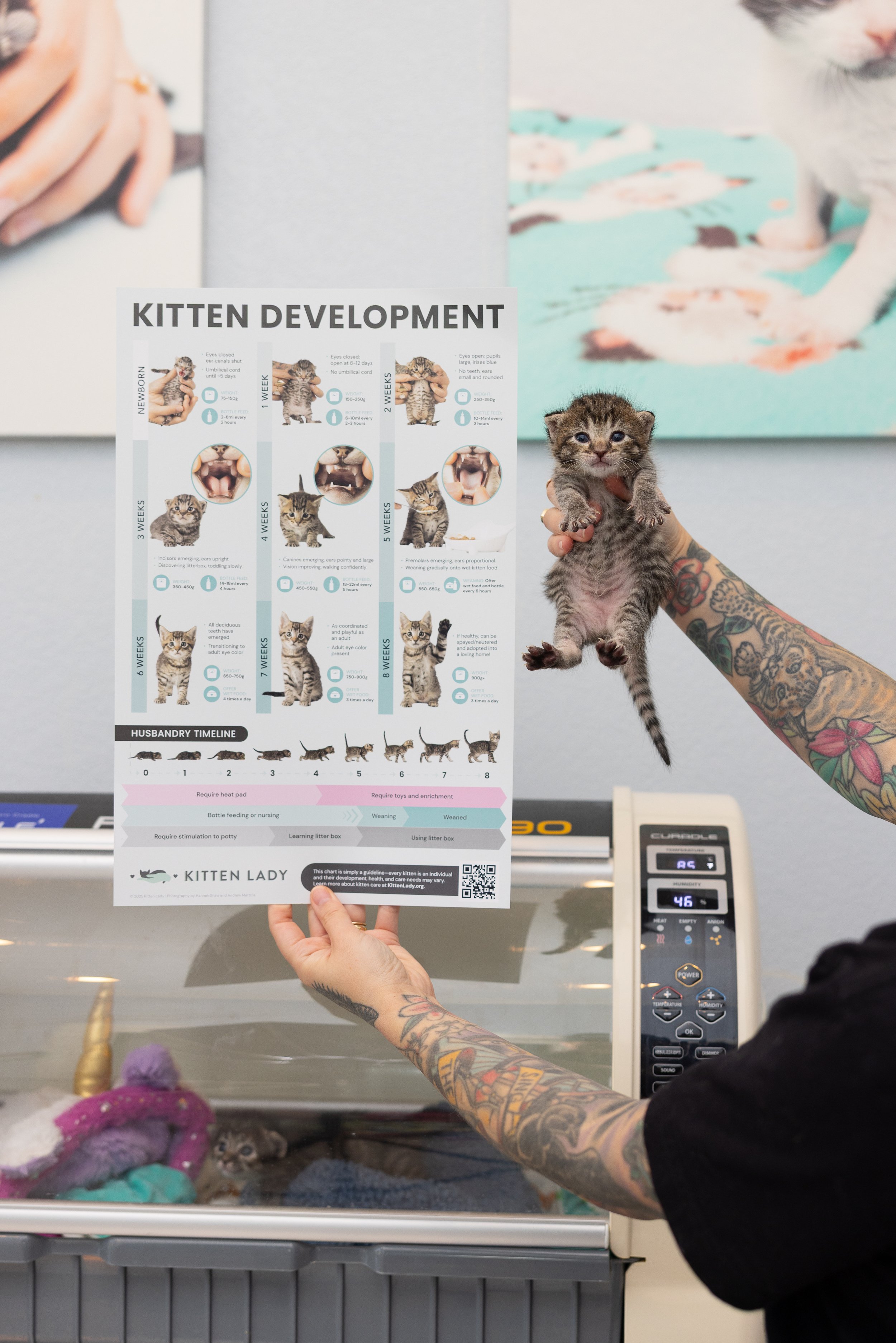 Educational Materials