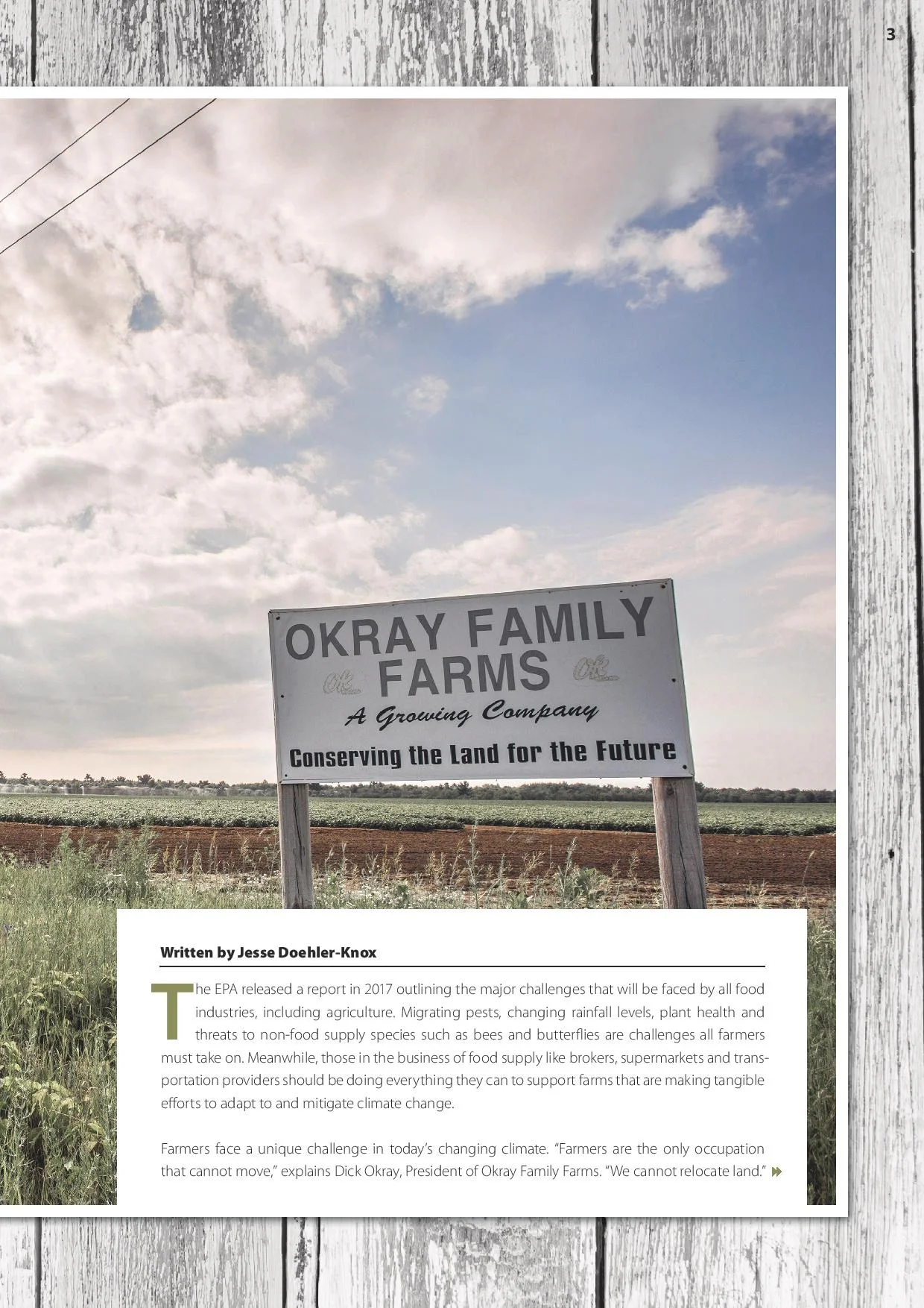 Okray article 3.jpg