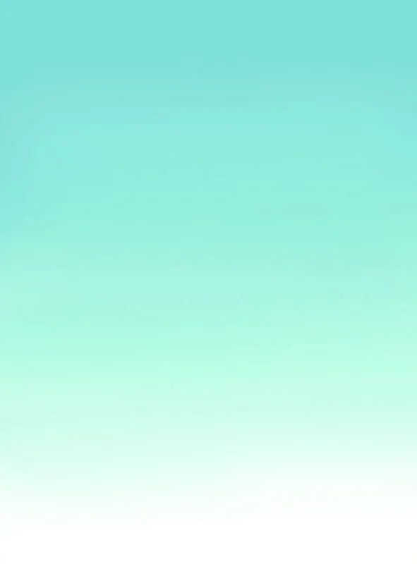 An Example of one of our 2015 Holiday Nannies 