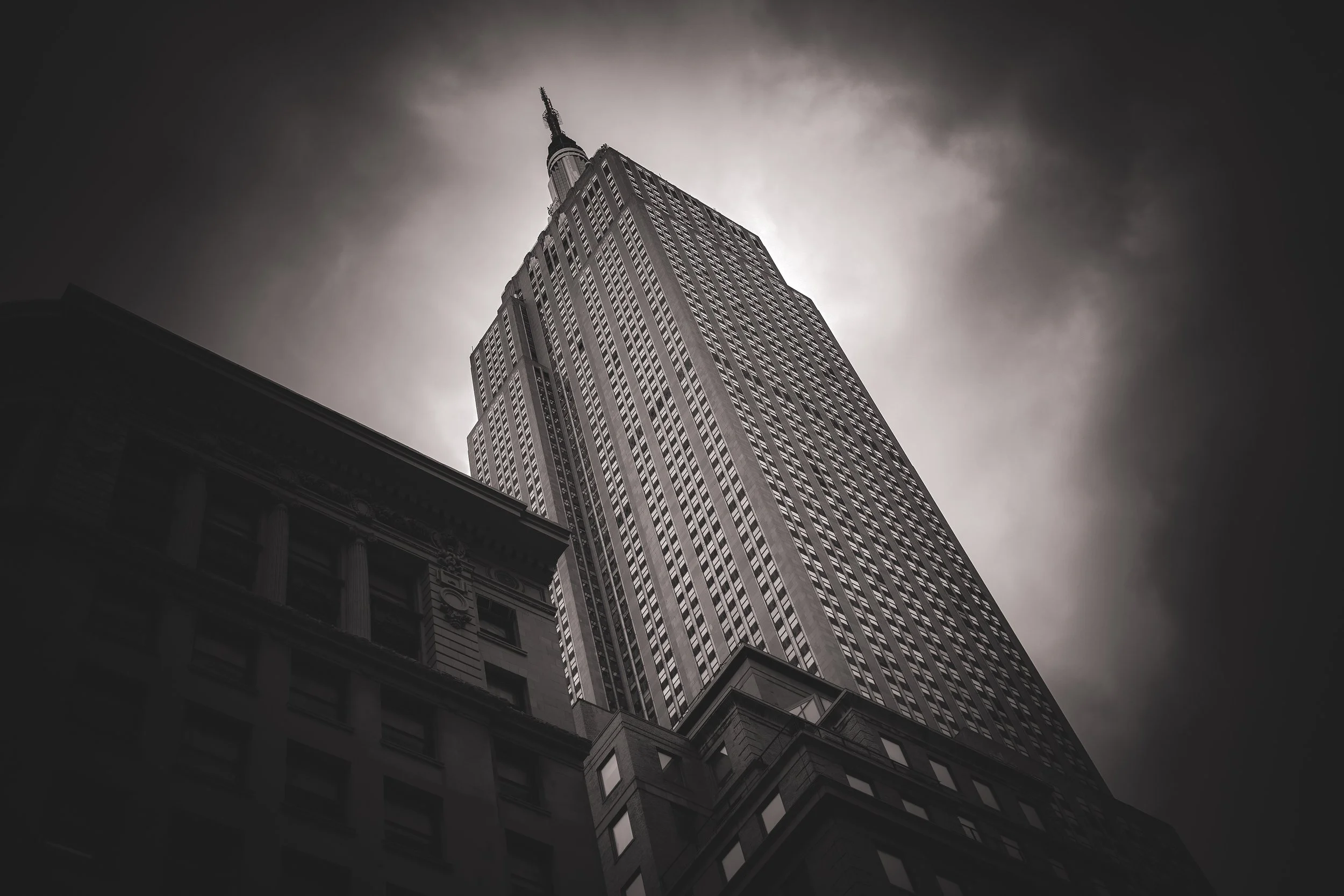 DOG_2ND GO_V2 5-6.JPEG