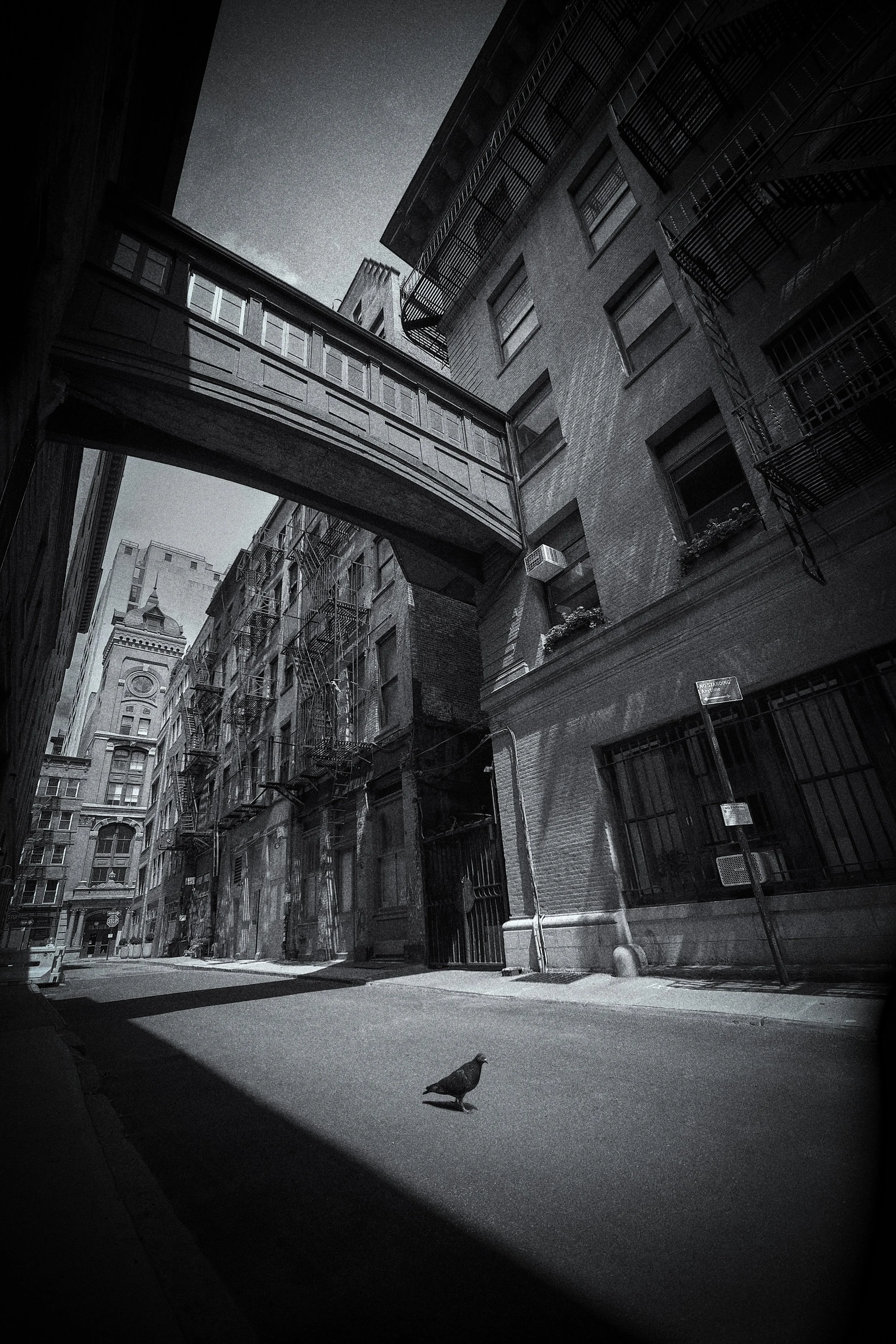 JAY STREET FINAL_WEB.JPEG