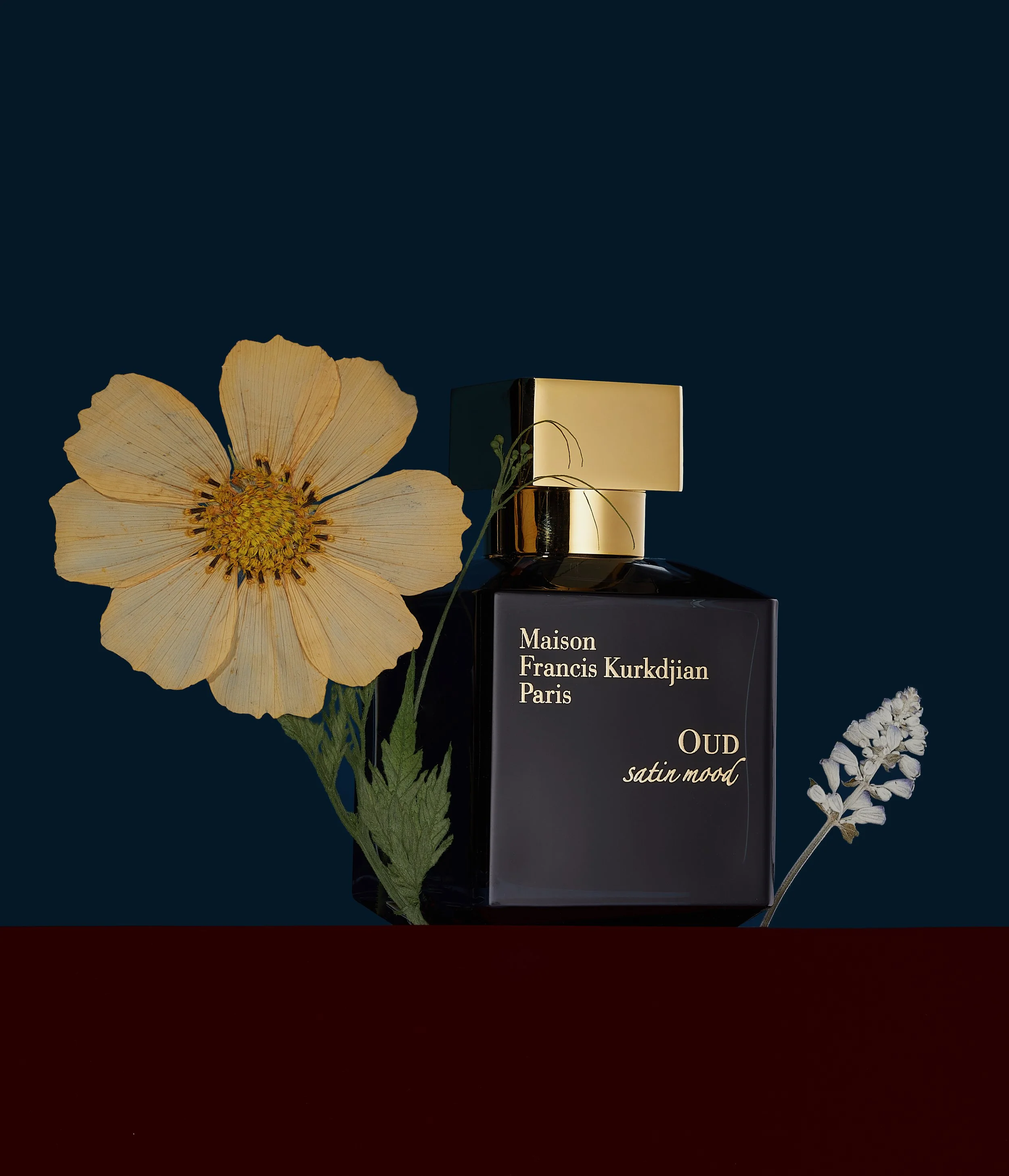 MAISON_OUD_V1_SOLID NO BANDING copy.JPG