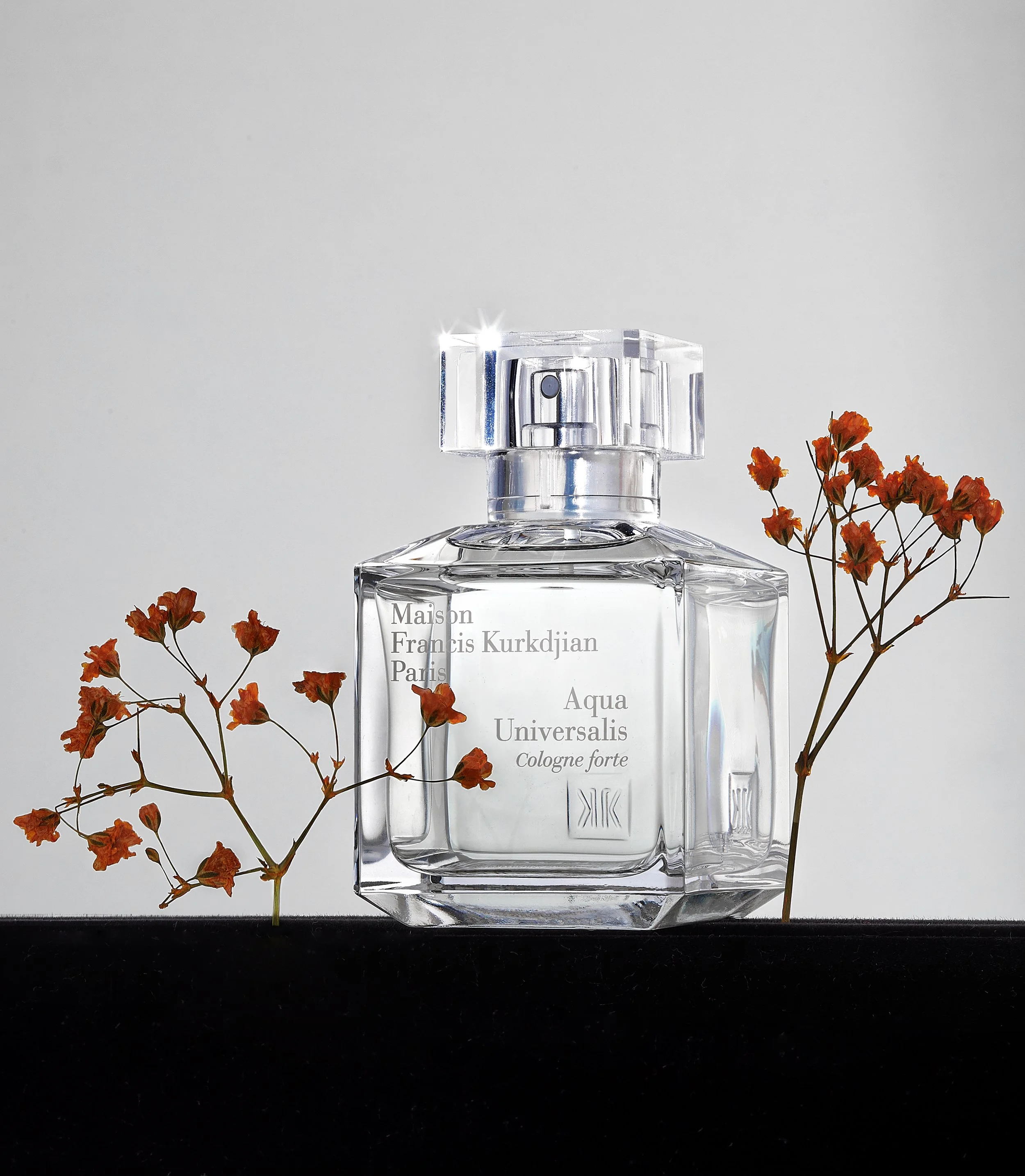 MAISON_AQUA_V2 copy 2.JPG