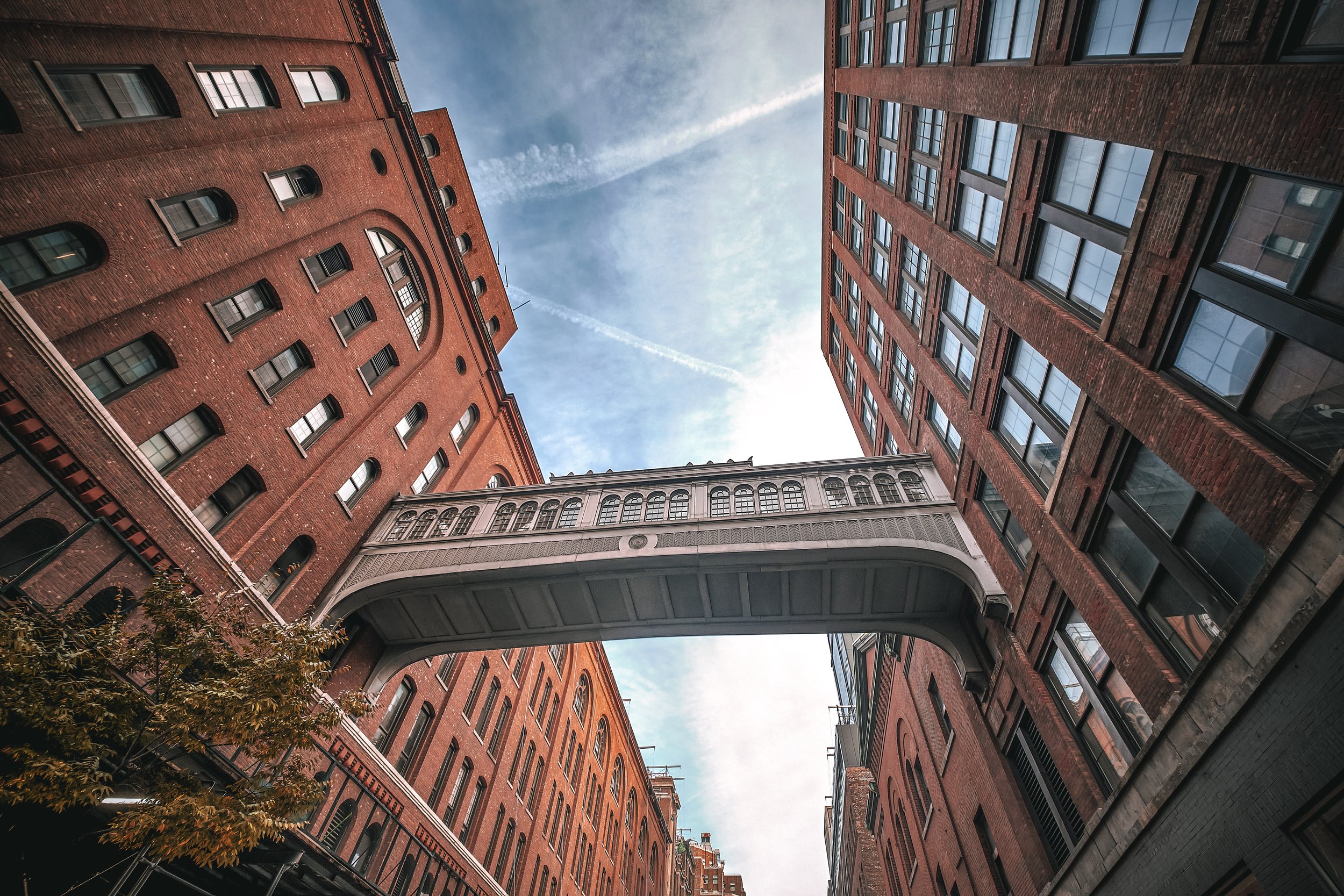 SKYBIRDGE_BIKE_COLOR_ 1.jpeg