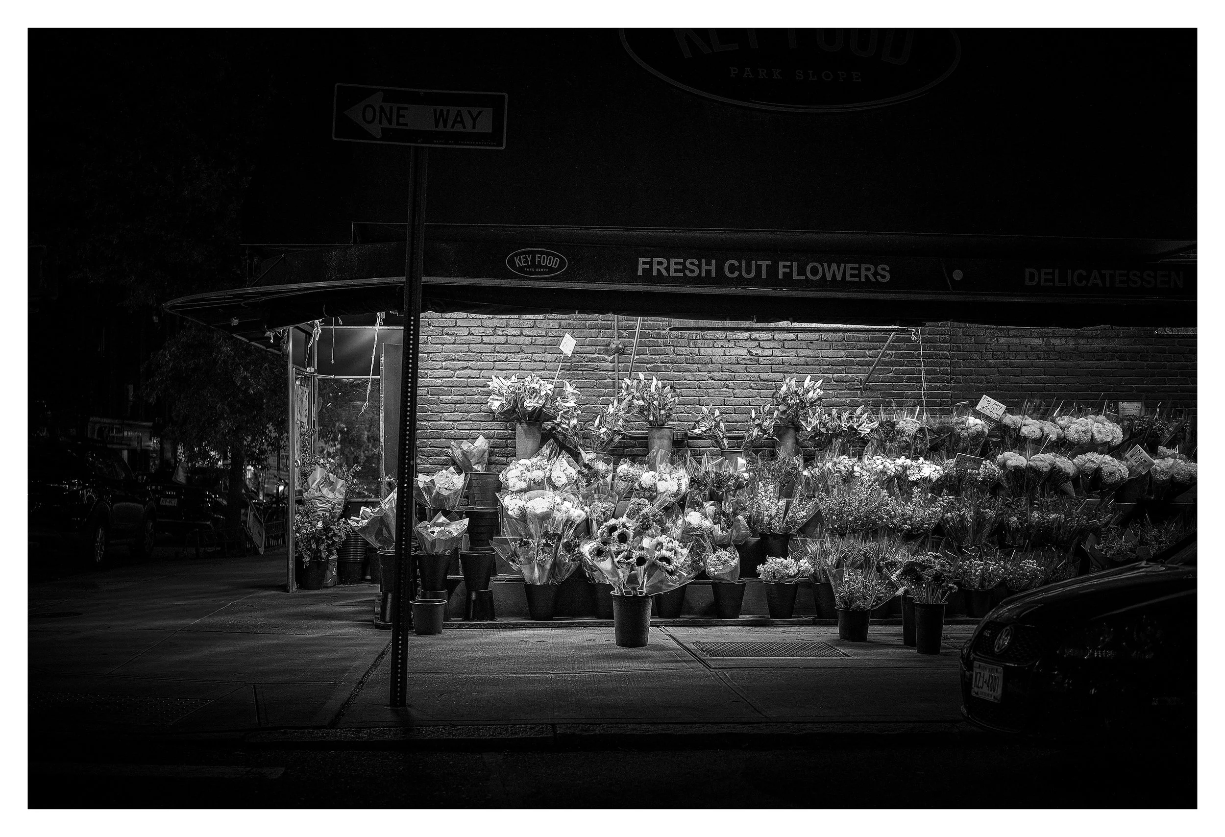 SUNFLOWERS_v2 copy.jpg