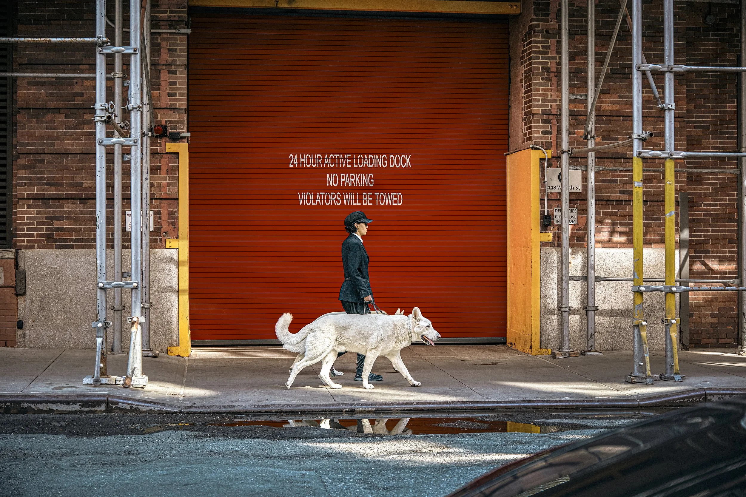 DOG_VALET_033-5_V2-5_COMBO_V2-2.jpg