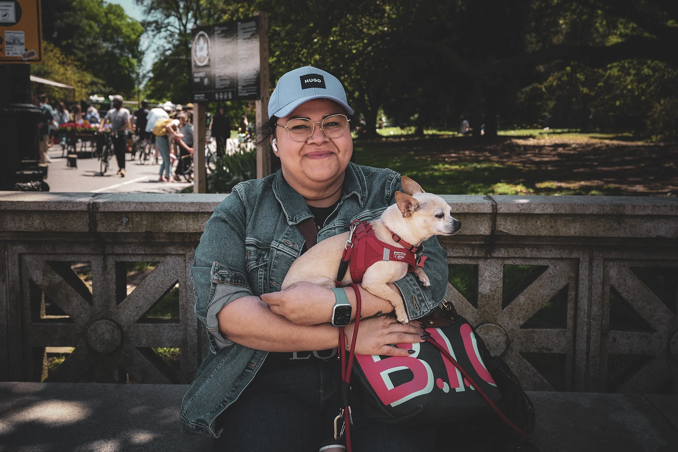 CHIUAHA MAMA 1-3.jpg