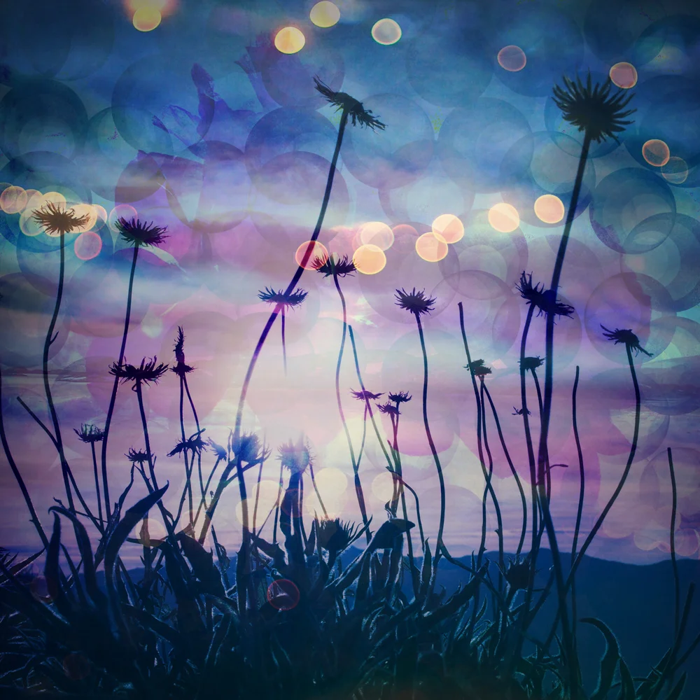 How To Create Dreamy Lights-7.jpg