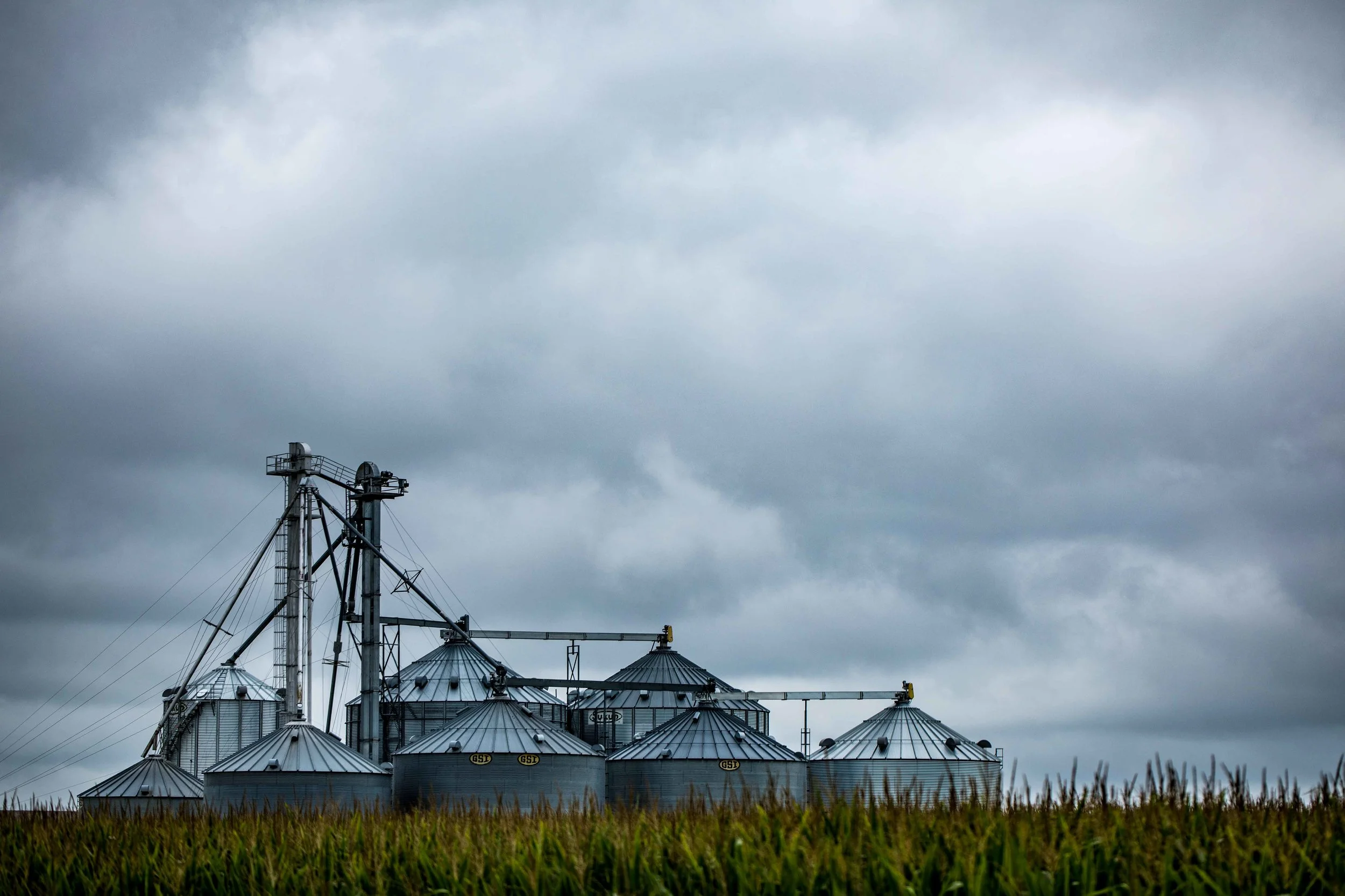 Farm_.jpg
