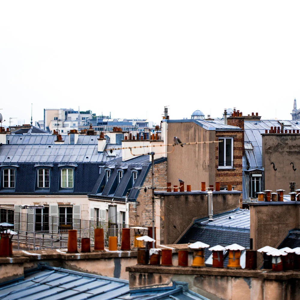 Paris Rooftops.jpg