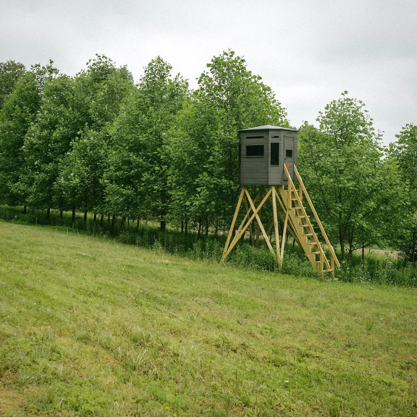 360 Series Hunting Blind