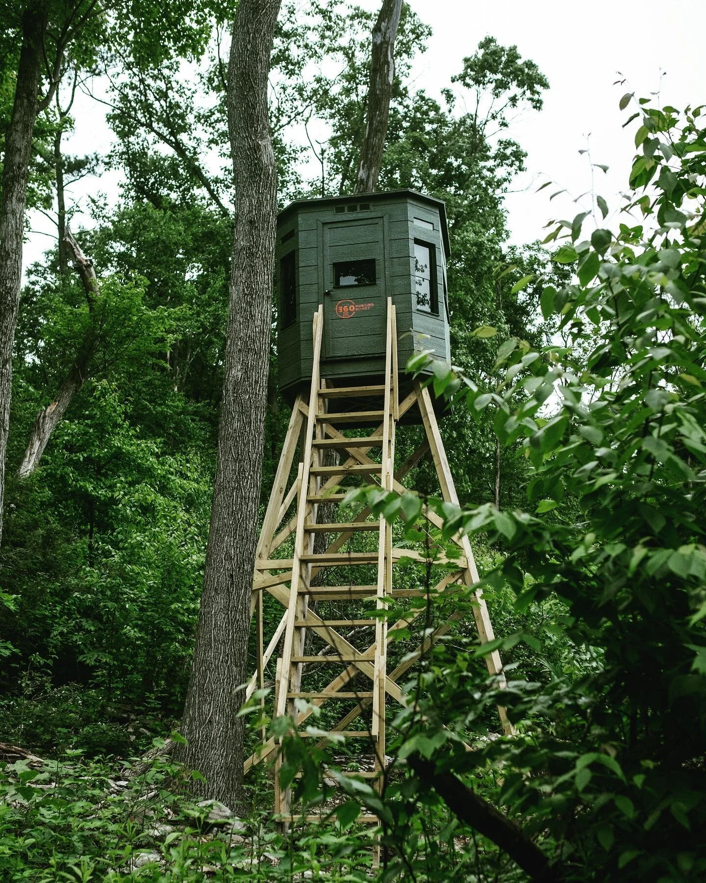 360 Series Hunting Blind
