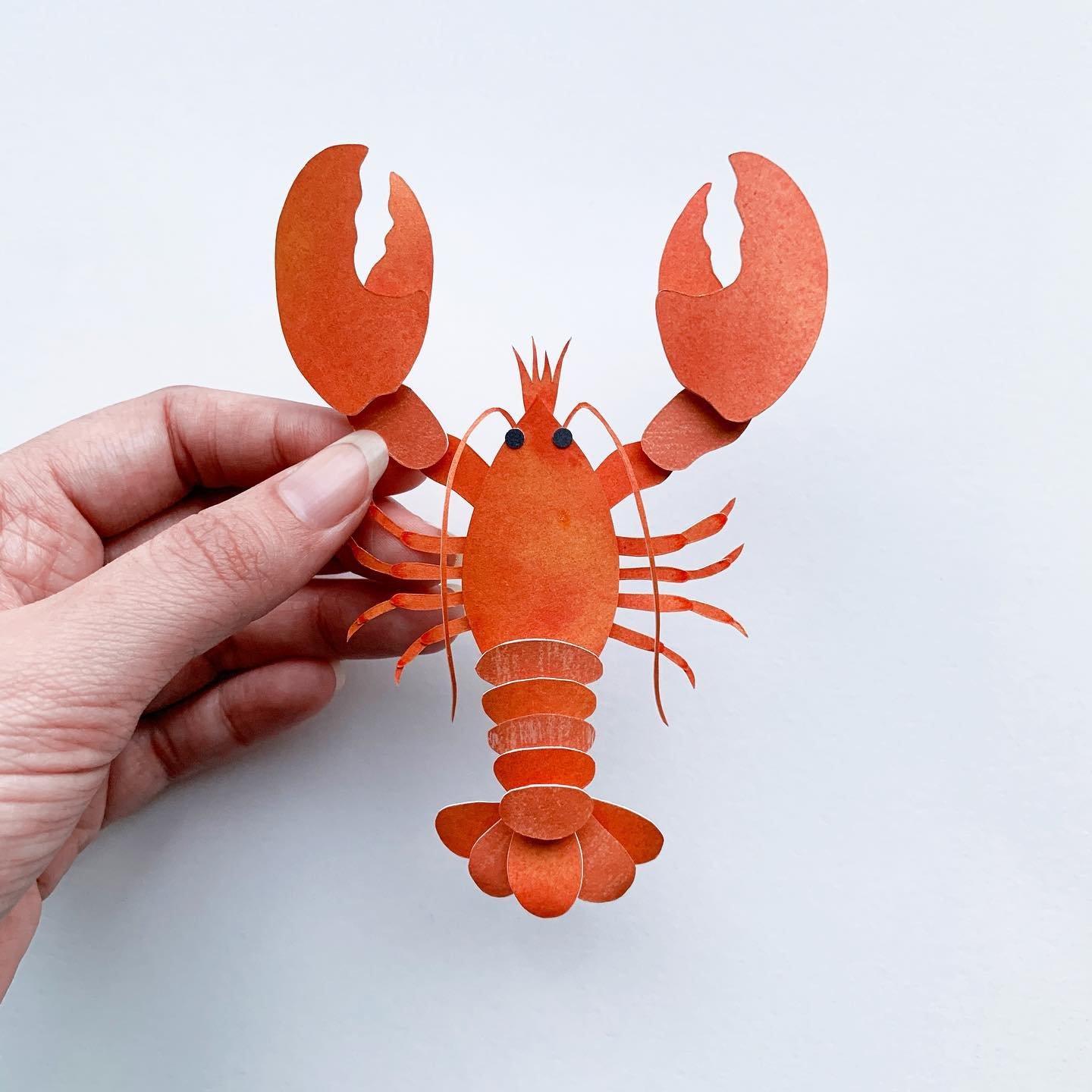 lobster-heyykristen.jpg