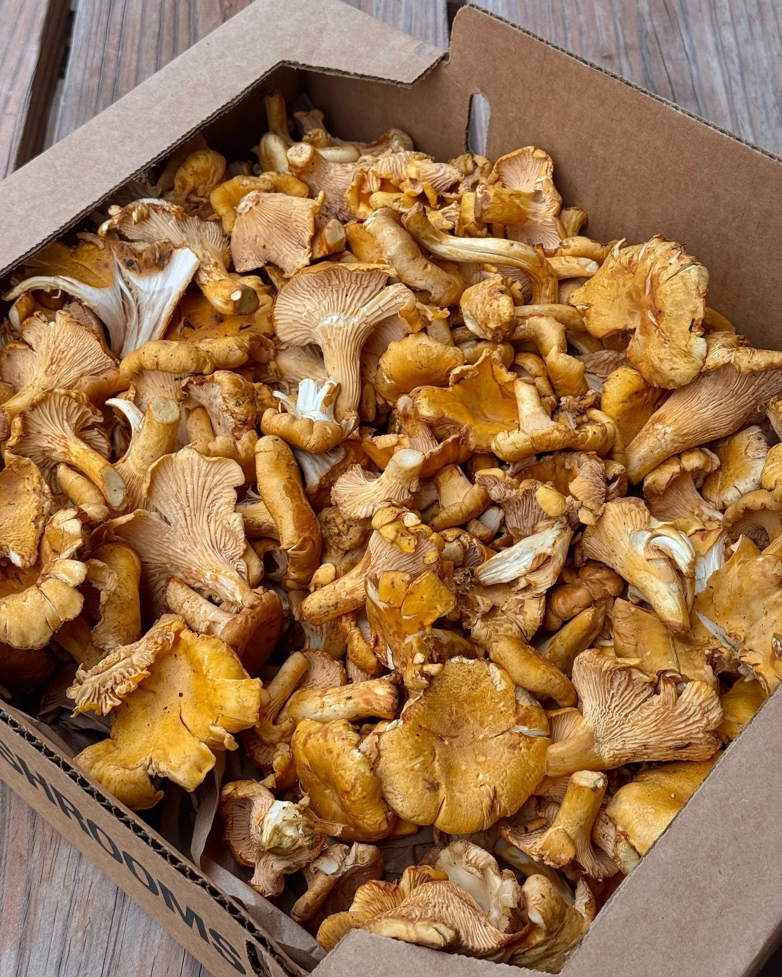 It&rsquo;s all in the details 🤌 

#farmtotable #mushroms #eatlocal #stlouisfood #lindenwoodpark