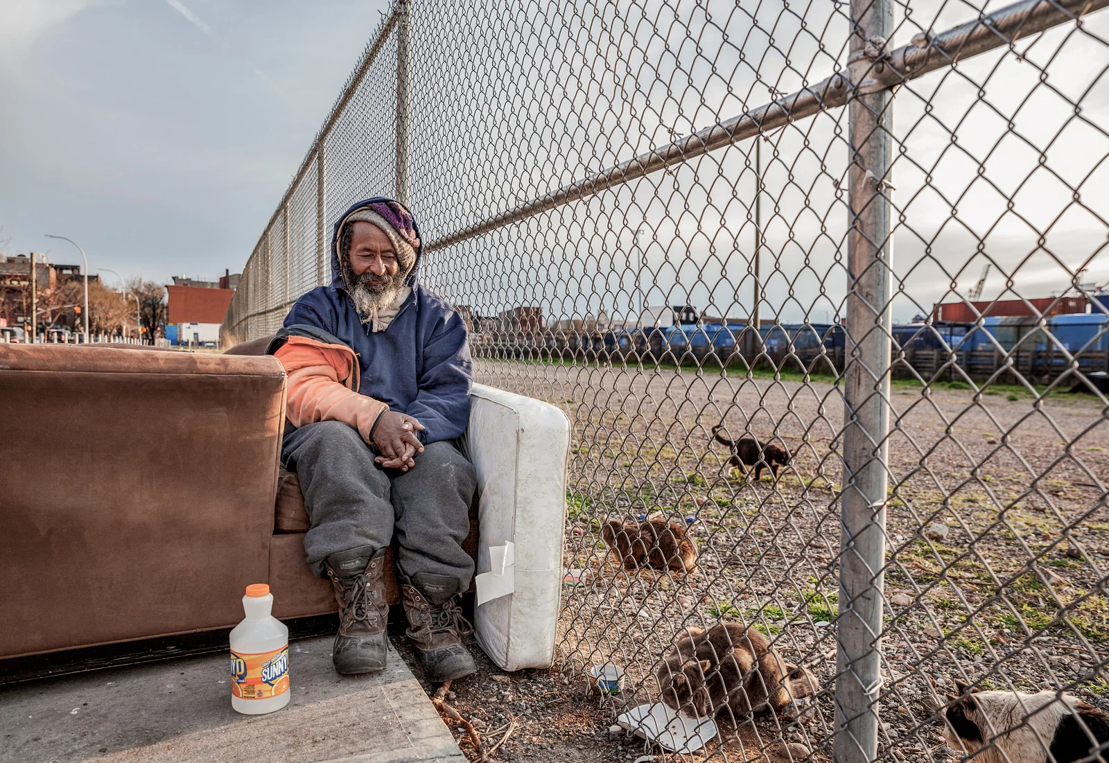 Catman, Brooklyn NY