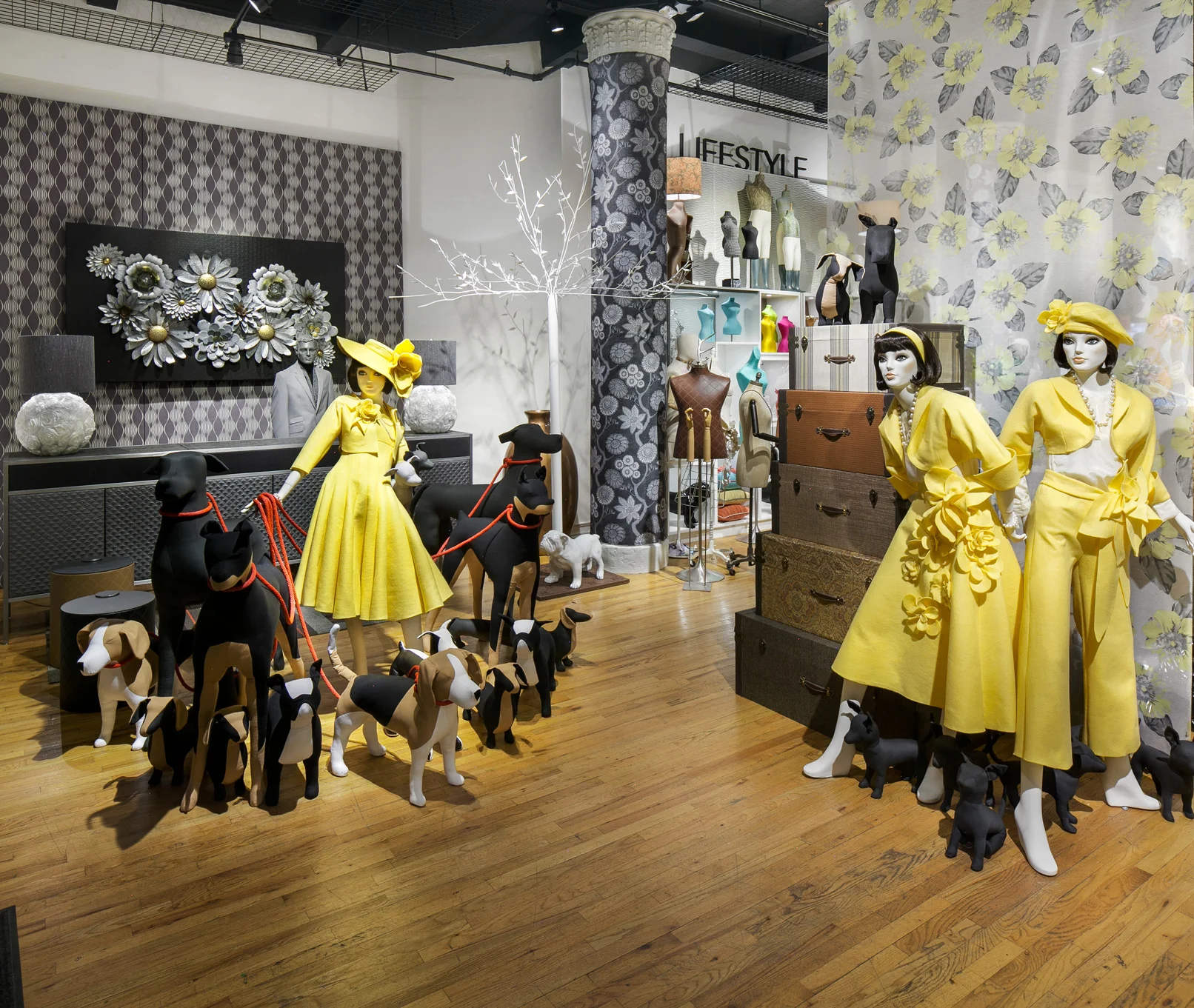 Global Vision Group - Showroom