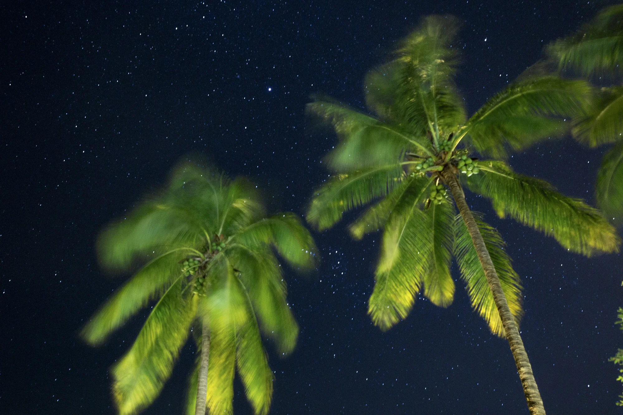 Starry sky